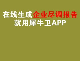 犀牛卫APP-尽职调查报告-数据合规漏洞跨国诉讼危机-尽职调查报告模板