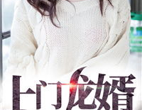 上门女婿叶辰小说免费阅读全本,叶辰的逆袭之路