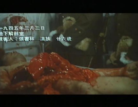黑太阳731在线观看,揭露侵华日军细菌战罪行的震撼纪录片