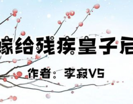 嫁给残疾皇子后免费阅读,免费阅读的宫廷爱情传奇