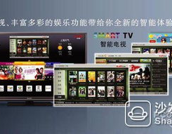 842娱乐,引领潮流的娱乐新势力