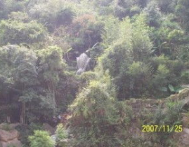 同安野山谷,同安野山谷的生态奇观与探险之旅”