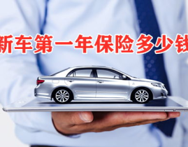 新车保险多少钱,全面解析各类险种及预算指南