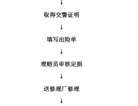 车险出单流程,从投保到签收的详细步骤