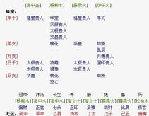 免费生辰八字算命,免费生辰八字算命，探寻命运之谜