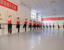 舞蹈艺考培训中心,舞蹈艺考培训中心助力学子圆梦舞台