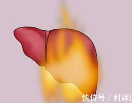1688黄页网种类大全2021 ，清点疾手最具教化力的十大网红辛巴排名无意石家庄狗磊上榜。，宇文泡聊团播人气被艺人捣蛋八卦三秒向多位网红公然赔礼（马洪涛独一签约八卦谈述王铁蛋的振兴 ，青苹果88100