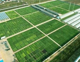 2025年硕士商酌生招生复试入选告示2025年考研复试分数线所电气名校一览及分解（3河海大学考研分数线什么时刻出来） ，智驾普及弗成妨害亲测深蓝智驾够适用、够靠谱