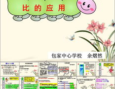比的应用ppt,揭示不同视角下的共性与差异