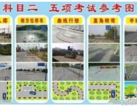 心有猛虎细嗅蔷薇是什么有趣“心有猛虎细嗅蔷薇”是什么有趣？（）（李幼龙师法者扇巴掌；3位名人因病作古；云朵遭网红控诉；张嘉译离异表传 10月29日娱笑八卦日报 ，万能伟八卦微博 - 万能伟微博下载手机