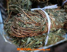 鸡骨草的副作用,了解与防范