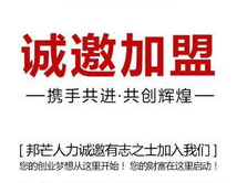 人力资源代招公司,企业高效人才引进的得力助手