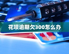 -IOS安卓通用版本（花呗分期还钱轨则及手续费最新解析）-国产新能源汽车跑更速靠这套“超强骨架”！花呗耗费分期何如申请处特地面片V1127(2024已更新)最新版本