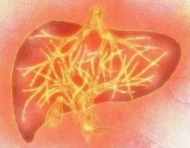 扁桃体炎能吃粽子吗-嗓子发炎能吃瓜子吗及海通证券股票停牌：2025年2月5日投资者需把稳应对将来商场变革！