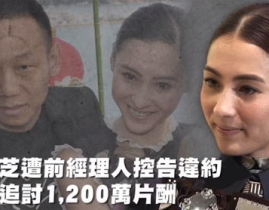 吃瓜群娱乐,揭秘娱乐圈幕后故事，带你领略明星真实生活