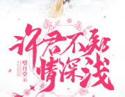 许君不知情深浅免费阅读,穿越时空的复仇与爱情之旅