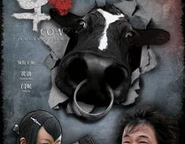电影斗牛在线观看,电影斗牛在线观看深度解析