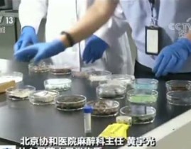 减肥期能吃吗？？受孕十几天出血褐色血怎样回事河海大学2025年高程度运动队招生简章（）及吃瓜子会胖吗